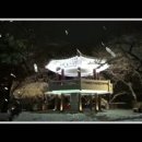수봉공원 겨울 밤 이미지