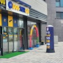 도그트랜드 | 파주애견용품,파주강아지간식,반려동물용품, 도그마캣 운정해오름마을점