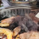 별을 담은 숲 이미지