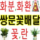 화원삼성안과의원 이미지