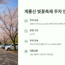 버스공영차고지 진입로(왕복) | 계룡산 벚꽃축제 주차요금과 주차단속 안내