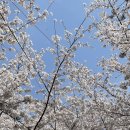 김천시부항면보건지소 이미지