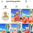그루밍가든 이미지