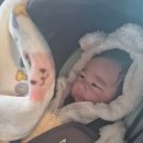 품 한정식 | [내돈내산 후기]❤️100일 기념 서라벌한정식 서초 본점 양가 식사하기!! ᑦ(⁎◕ ˕ ◕)ᐣ❤️