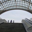 학장 새밭마을 행복학습센터 | [주간일기6주차]포트폴리오 라이프를 향한 여정