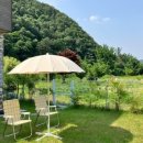 스테이현재 이미지