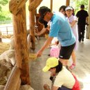 상경목장 이미지