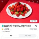 트로피티아일랜드천안두정점