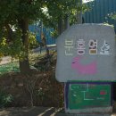 분홍염소 이미지