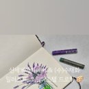 파스텔일러스트A 네이버블로그