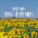 진커피숲 네이버블로그