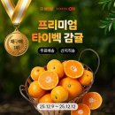 온 - 통영시 | 온