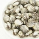 외서댁꼬막나라 | 벌교맛집 찾는다면 꼭 가봐야 할 외서댁꼬막나라 1호점 후기