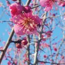 아모레미오 이미지