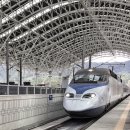 도그 프렌즈 이미지