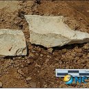 임실 가덕리 하가구석기유적 이미지