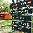 중문진실캠핑장 이미지