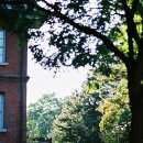 서소문로11길 이미지