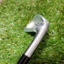 아이언 플렉스(IRON FLEX) 이미지