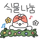 플렌케