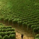 농부의 아들 이미지