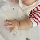 국공립은빛어린이집 | 어린이집 적응기간 0세반 입소준비물 낮잠 국공립어린이집 등원 후기