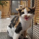 전주삼천초등학교 이미지