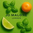 숲속앤정원 이미지