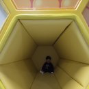 무아띠 | 대전 아기랑 가볼 만한 곳 실내놀이터 대전국립중앙과학관 꿈아띠체험관 두 돌 아기 후기