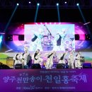 천일홍축제 이미지