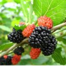 번성세탁 이미지