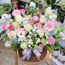 (주)승진 | [공지] 대구 인사이동 축하 화분, 칠성시장꽃시장 승진·취임·영전 선물 가격은?