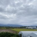 말랑카우하우스 이미지