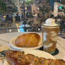 도암길 | [세종대형카페] 내돈내산 베이커리 맛집 “시선293” 추천 이유 | 주차, 빵종류, 매장내부