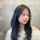 수피아공원로 네이버블로그