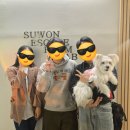 1377 | #1376, 1377. 수원 인계동 방탈출 추천 공포테마 &amp; 문제방 다 있는 수원방탈출연구소 : 귀신탐지기...