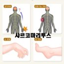마리필라테스 - 파주시 금바위로 42 | 마리필라테스