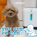 강아지 산소방 강아지 심장병 관리 오투맥스 후기