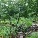 산골초가