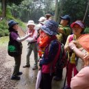 팔송정식당 이미지