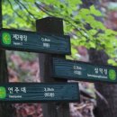 숲속계곡 쉴만한물가 이미지