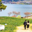 뿌리목장 이미지