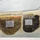 오은재 | [제주] 서귀포 산방산근처 유아펜션 "오은재 펜션"