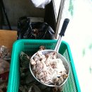 시장꿀꿀이 이미지