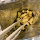 군청 대강당옆 야외휴게소 | 진짜 그냥 일기 | 국내 여행기, 7번국도 타고 영덕 - 울진 - 속초 가볼만한 곳 추천