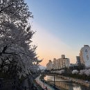 비틀즈 | 비틀즈 퍼즐 1000피스 후기, 멋진 할머니가 되고싶어.