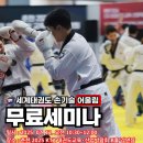 국가대표 어울림 태권도 이미지