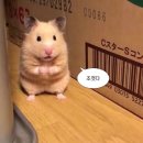 신사2-027 | [스마트 스토어] 제로천 클럽 / 초보 사업자의 스마트 스토어로 월 천만 원 만들기 프로젝트/ 동기부여