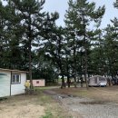 서해송 | 태안 가족여행:해수욕장이 코앞에! <태안 서해송펜션> 후기♥