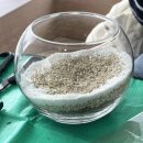 송파나루(문화실험공간 호수) | [송파구] 문화실험공간 호수 3월플랜테리어 클래스(Planterior Class) | 이끼&amp;고사리 테라리움 | 잠실...